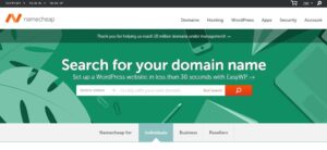 domain purchasing